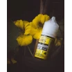 GLAS BASIX BSX NIC SALTS - BANANA CREAM PIE - 30ML GLAS BASIX BSX NIC SALTS - BANANA CREAM PIE - 30ML